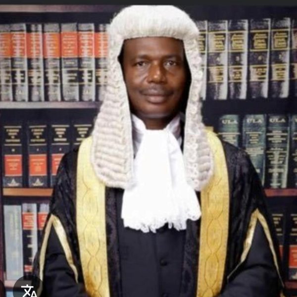 EBUN-OLU ADEGBORUWA, SAN.jpg